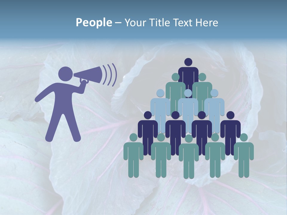 Building Apple New PowerPoint Template