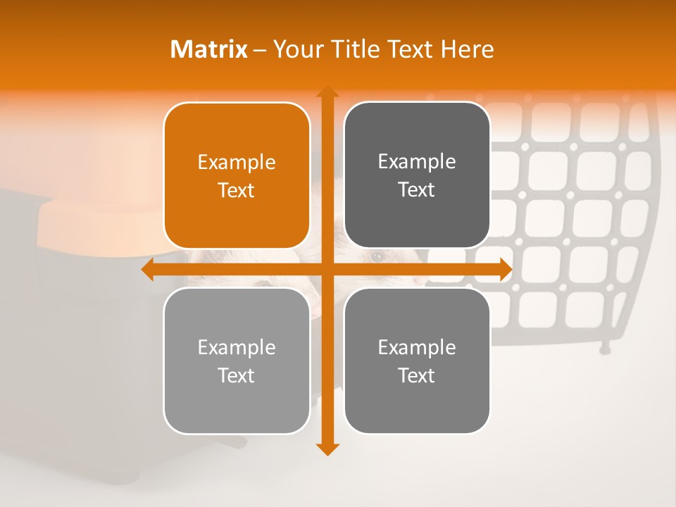 Whiskers Length Isolated PowerPoint Template