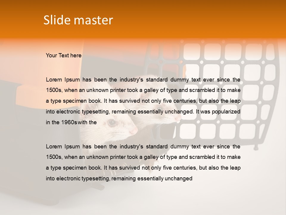 Whiskers Length Isolated PowerPoint Template