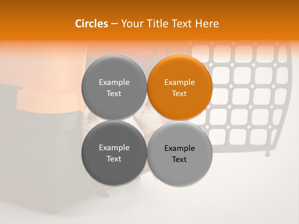 Whiskers Length Isolated PowerPoint Template