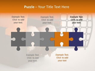 Whiskers Length Isolated PowerPoint Template