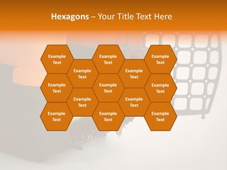 Whiskers Length Isolated PowerPoint Template