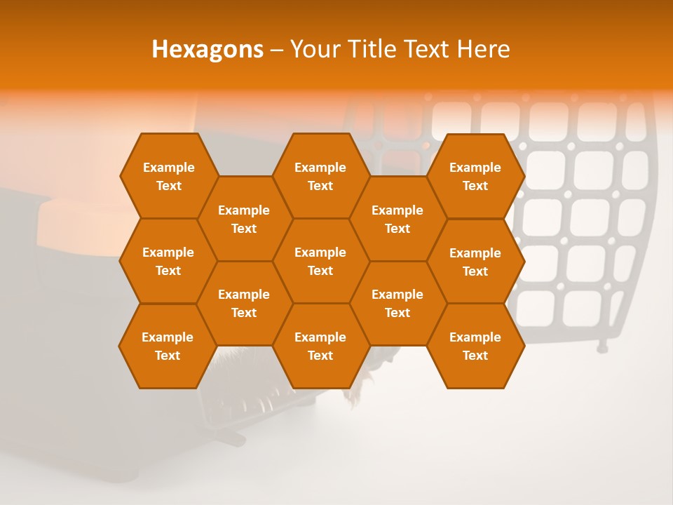 Whiskers Length Isolated PowerPoint Template