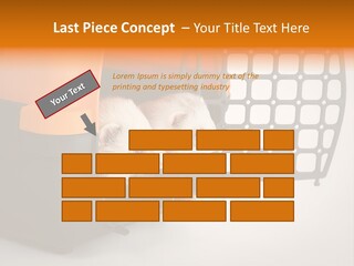 Whiskers Length Isolated PowerPoint Template
