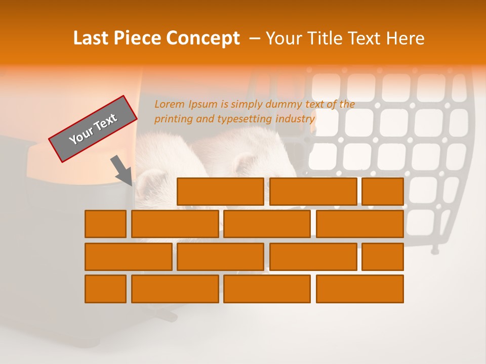 Whiskers Length Isolated PowerPoint Template