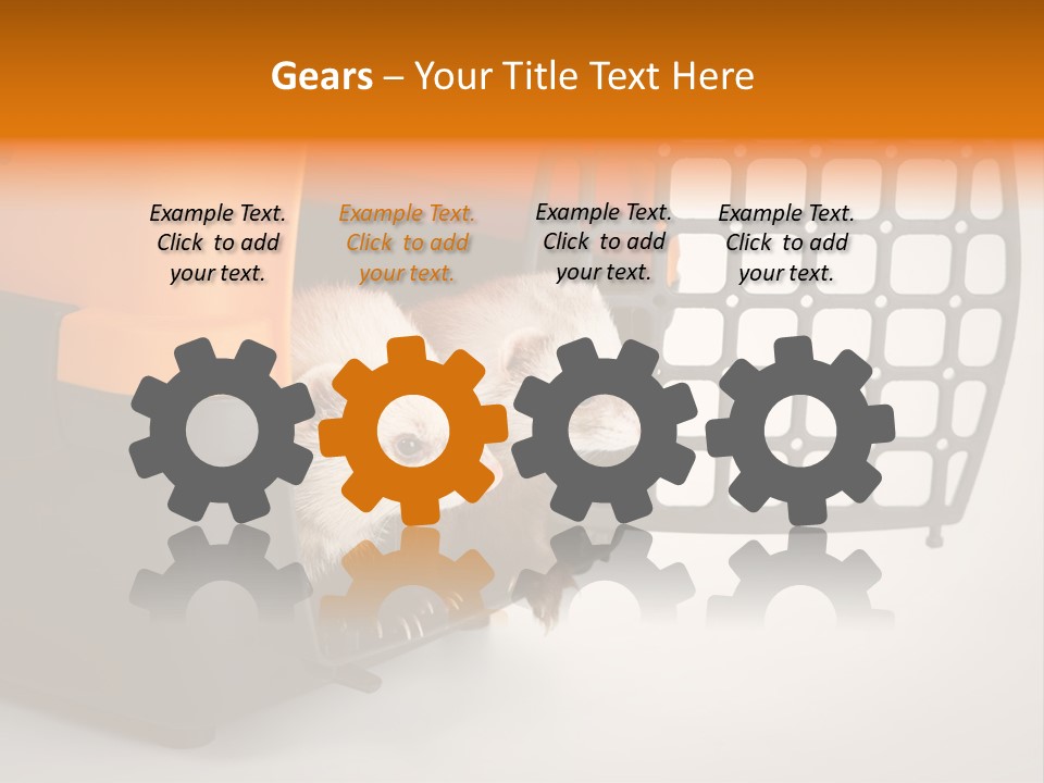 Whiskers Length Isolated PowerPoint Template