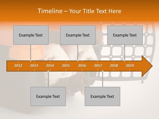 Whiskers Length Isolated PowerPoint Template