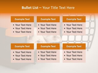 Whiskers Length Isolated PowerPoint Template