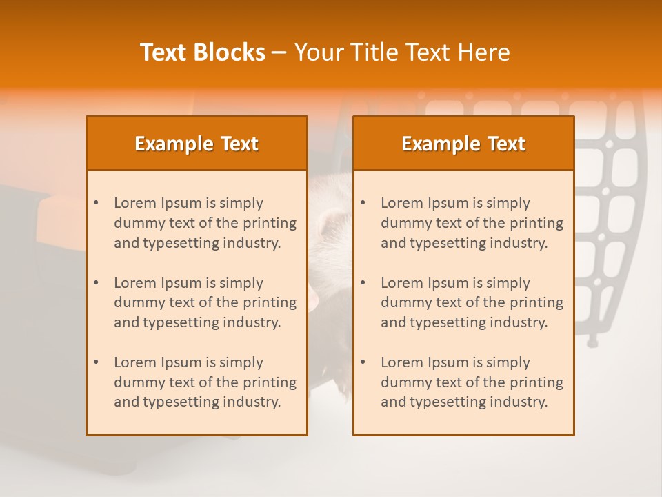 Whiskers Length Isolated PowerPoint Template