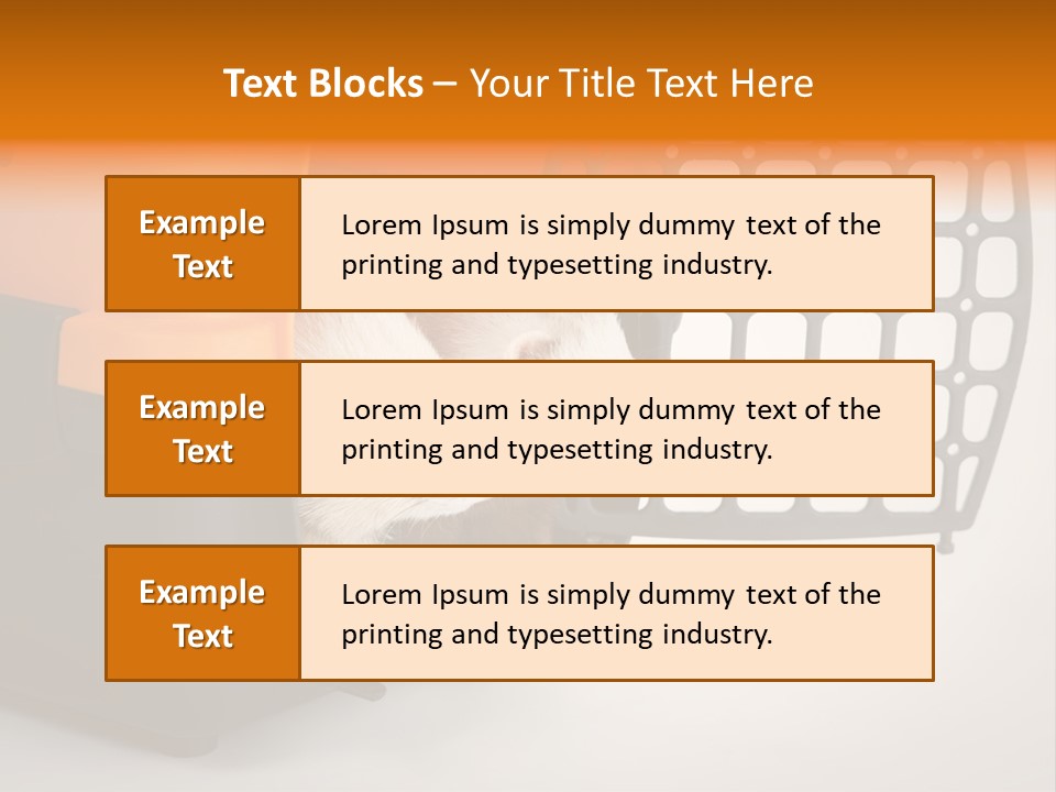 Whiskers Length Isolated PowerPoint Template