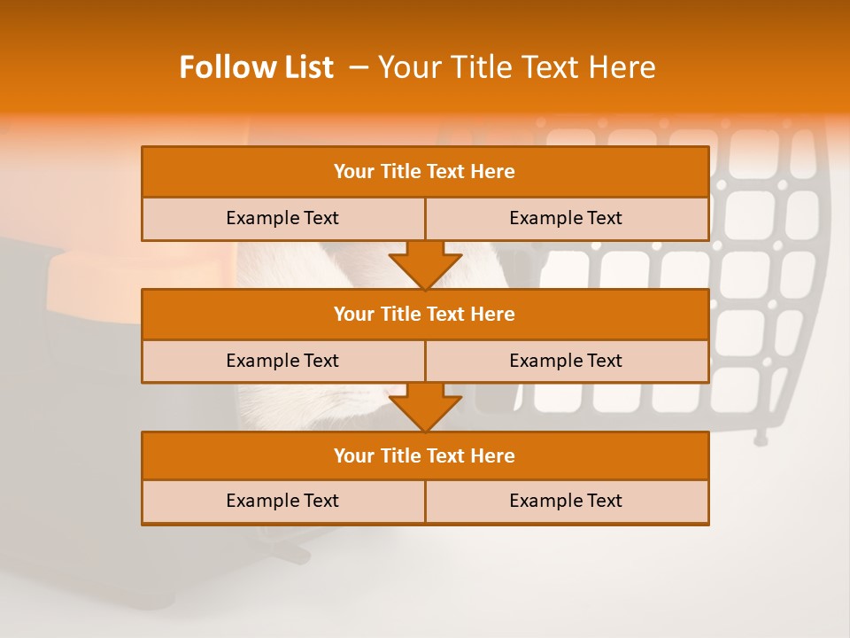 Whiskers Length Isolated PowerPoint Template