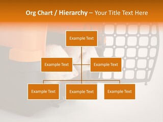 Whiskers Length Isolated PowerPoint Template