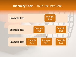 Whiskers Length Isolated PowerPoint Template
