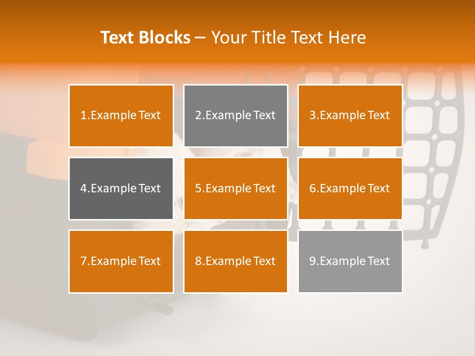 Whiskers Length Isolated PowerPoint Template