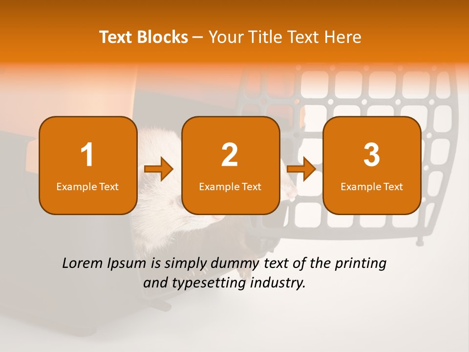 Whiskers Length Isolated PowerPoint Template