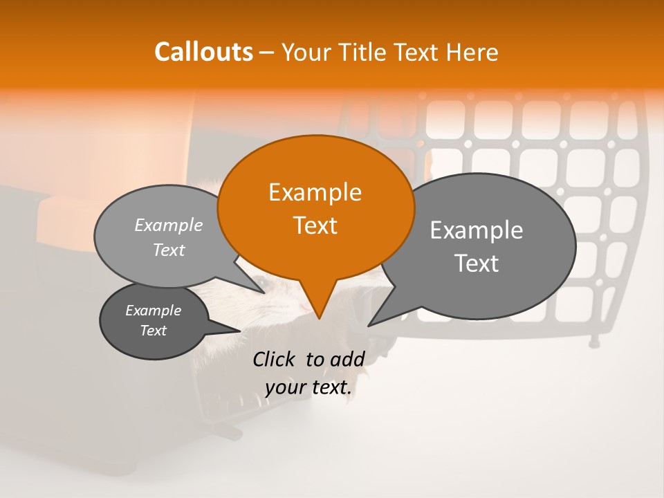 Whiskers Length Isolated PowerPoint Template