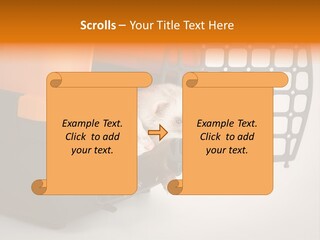 Whiskers Length Isolated PowerPoint Template