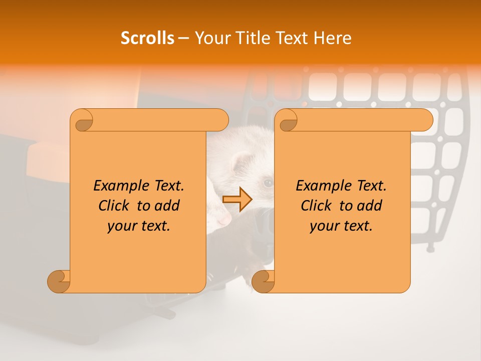Whiskers Length Isolated PowerPoint Template