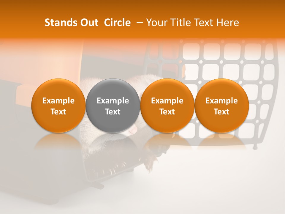 Whiskers Length Isolated PowerPoint Template