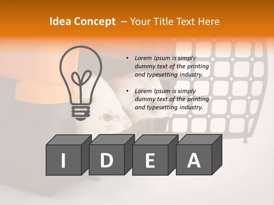 Whiskers Length Isolated PowerPoint Template