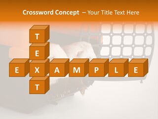 Whiskers Length Isolated PowerPoint Template