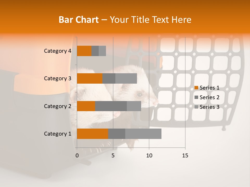 Whiskers Length Isolated PowerPoint Template
