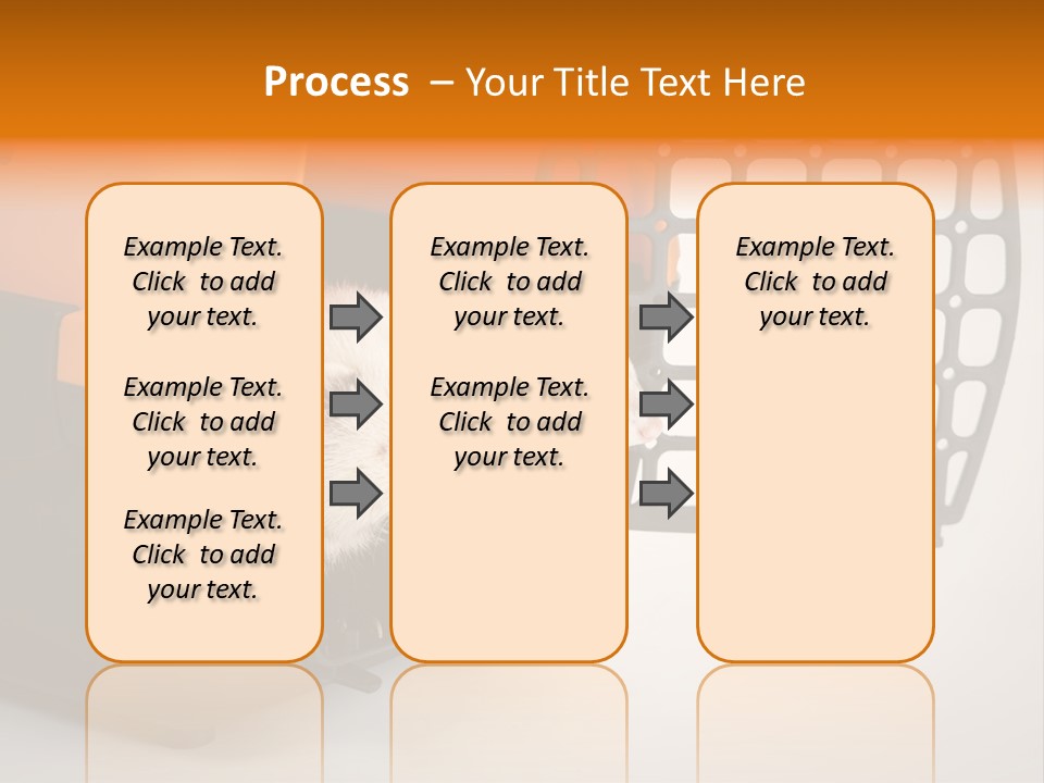 Whiskers Length Isolated PowerPoint Template