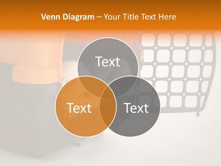 Whiskers Length Isolated PowerPoint Template