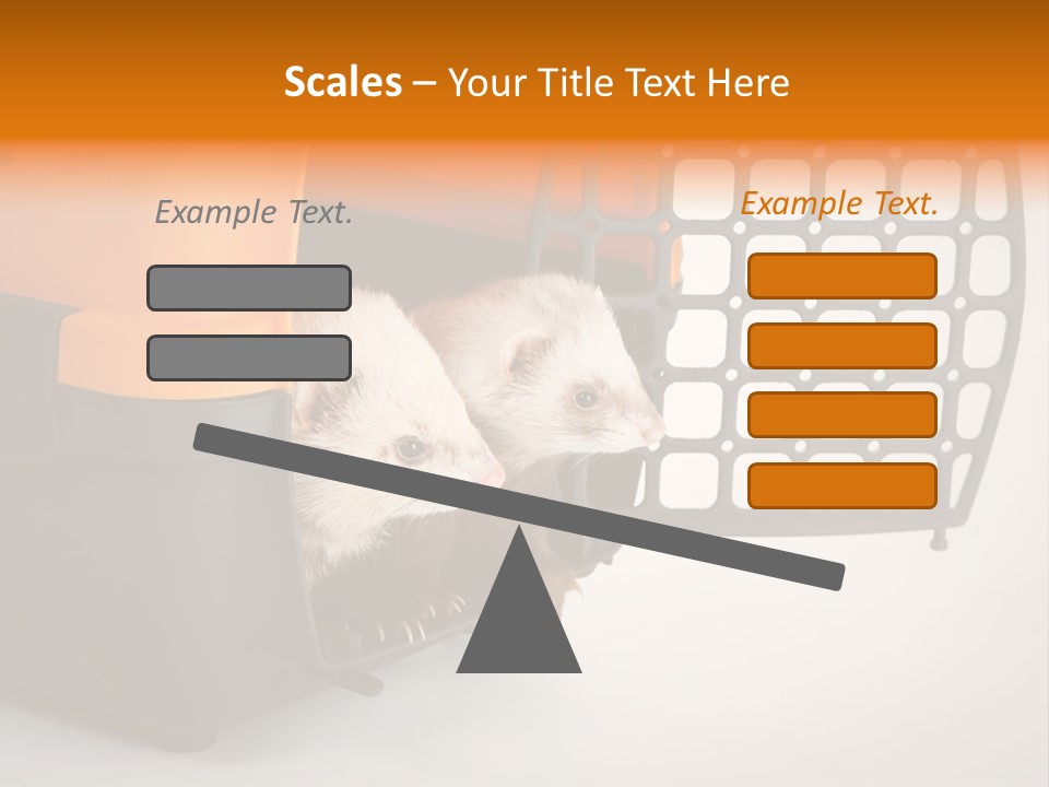 Whiskers Length Isolated PowerPoint Template