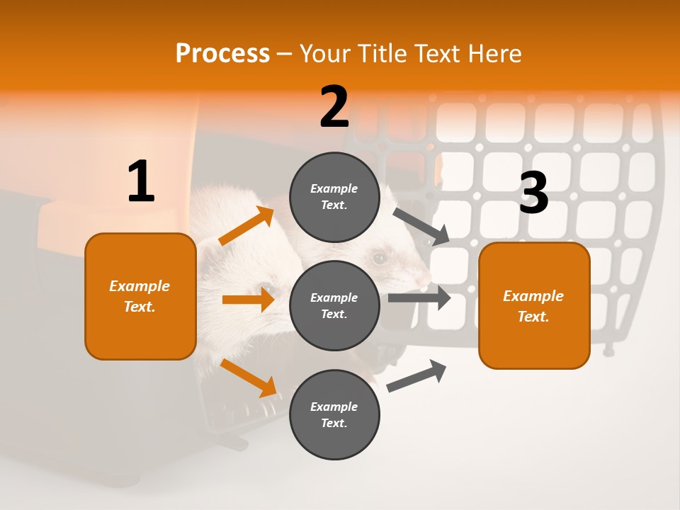 Whiskers Length Isolated PowerPoint Template