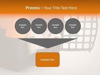 Whiskers Length Isolated PowerPoint Template