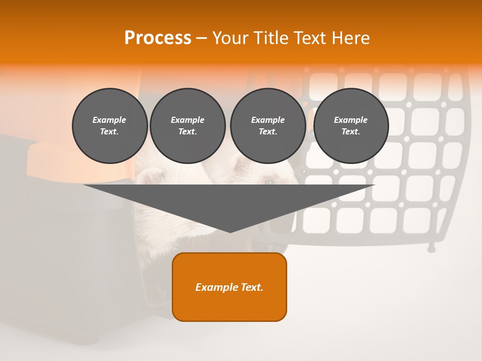 Whiskers Length Isolated PowerPoint Template