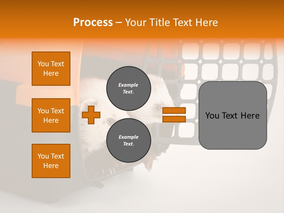 Whiskers Length Isolated PowerPoint Template