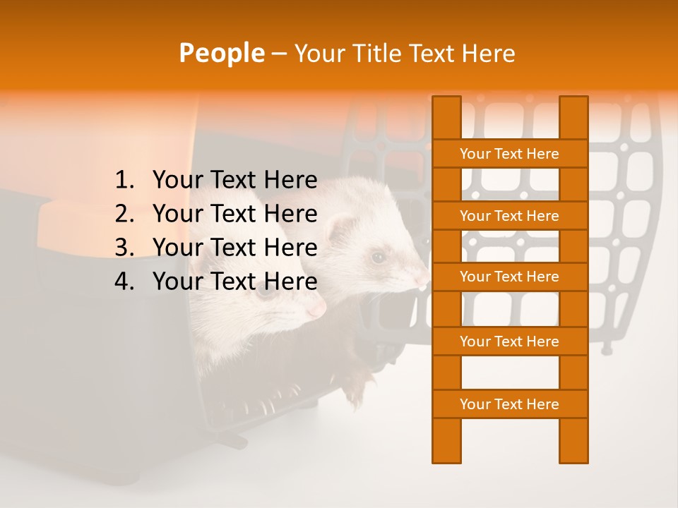 Whiskers Length Isolated PowerPoint Template