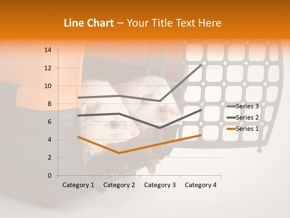 Whiskers Length Isolated PowerPoint Template