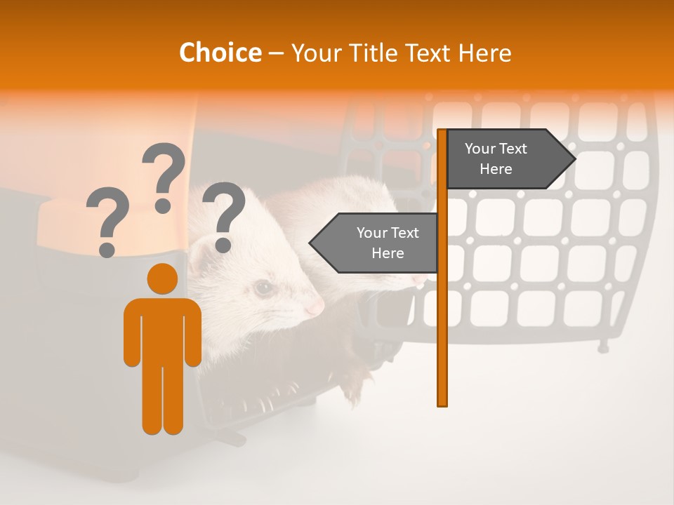 Whiskers Length Isolated PowerPoint Template