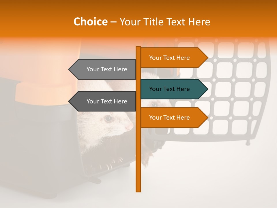 Whiskers Length Isolated PowerPoint Template