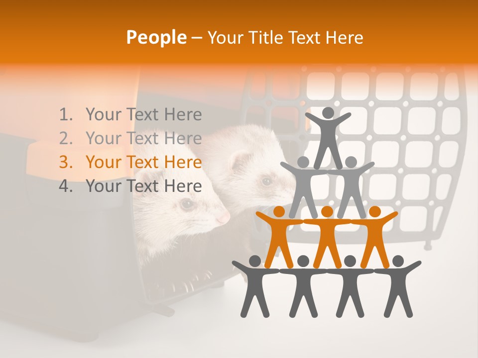 Whiskers Length Isolated PowerPoint Template