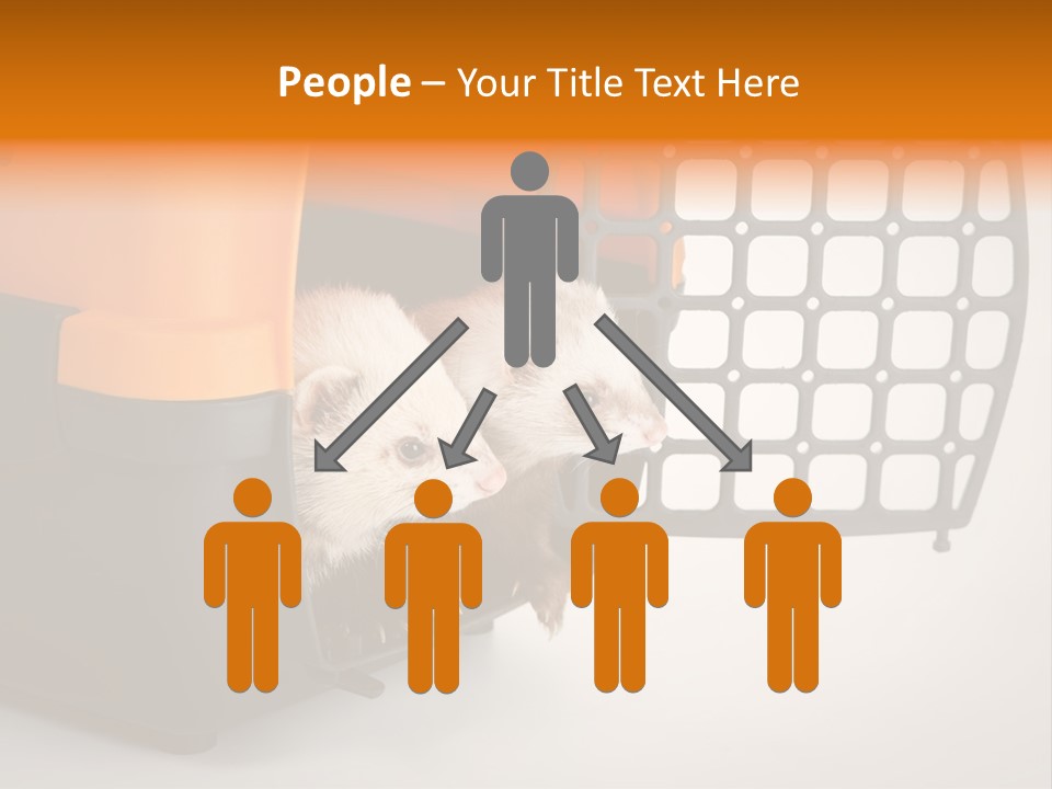 Whiskers Length Isolated PowerPoint Template