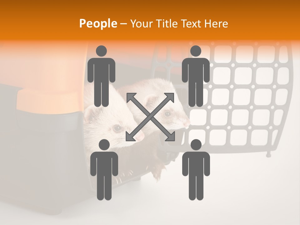 Whiskers Length Isolated PowerPoint Template