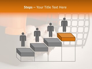 Whiskers Length Isolated PowerPoint Template