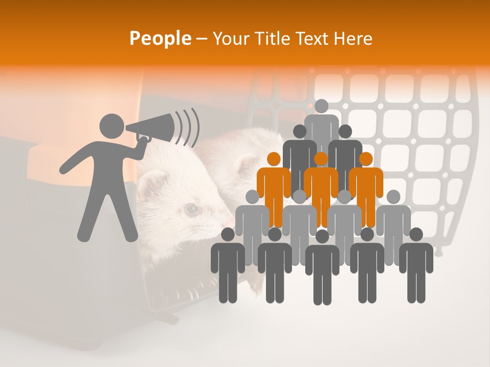 Whiskers Length Isolated PowerPoint Template