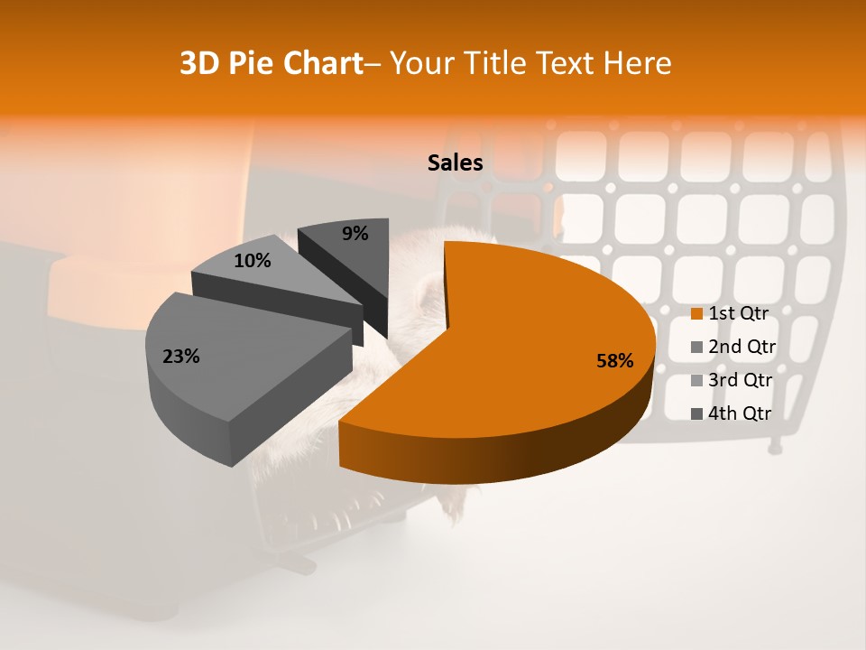Whiskers Length Isolated PowerPoint Template