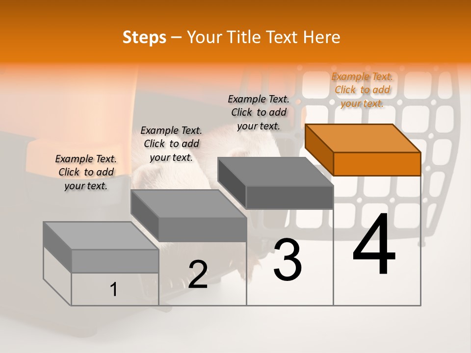 Whiskers Length Isolated PowerPoint Template