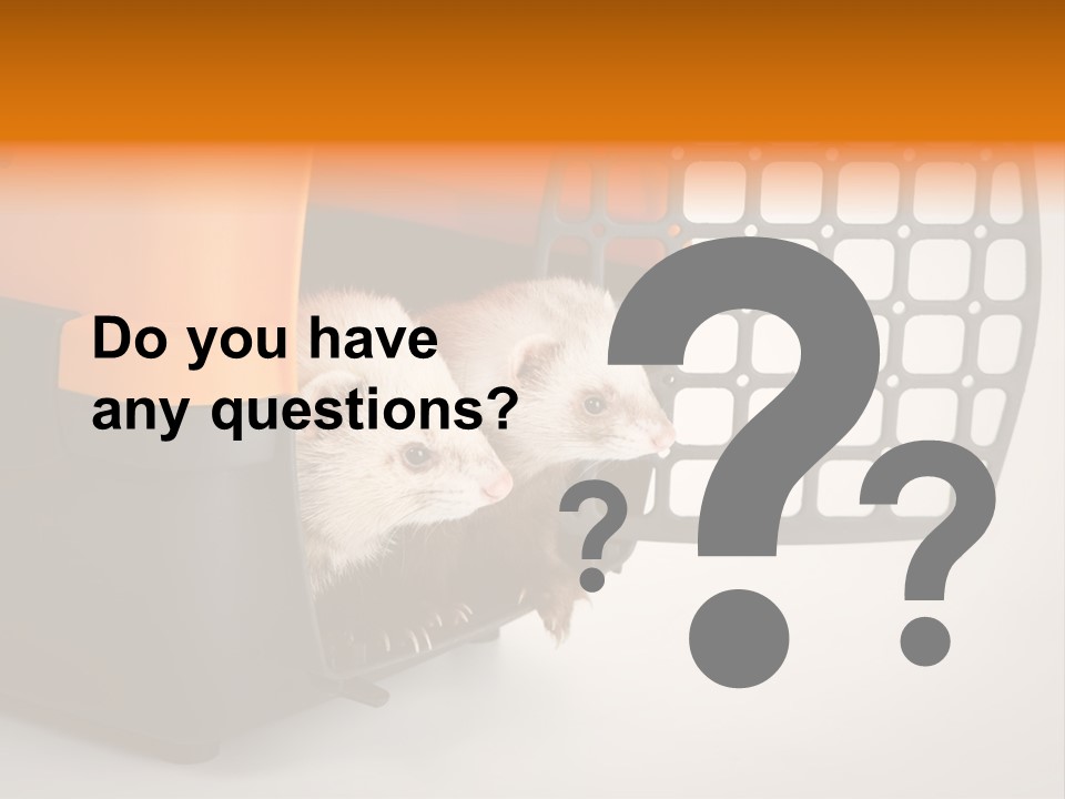 Whiskers Length Isolated PowerPoint Template