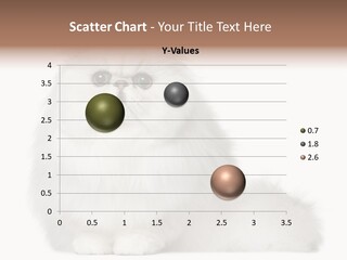 Months Old Looking At Camera Mammal PowerPoint Template