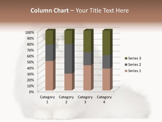 Months Old Looking At Camera Mammal PowerPoint Template