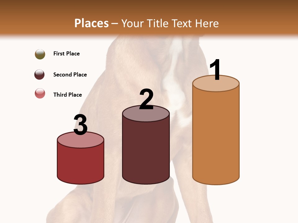 Bitch Cute Funny PowerPoint Template