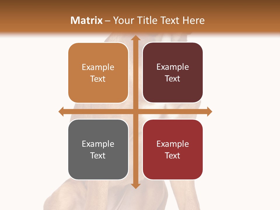 Bitch Cute Funny PowerPoint Template