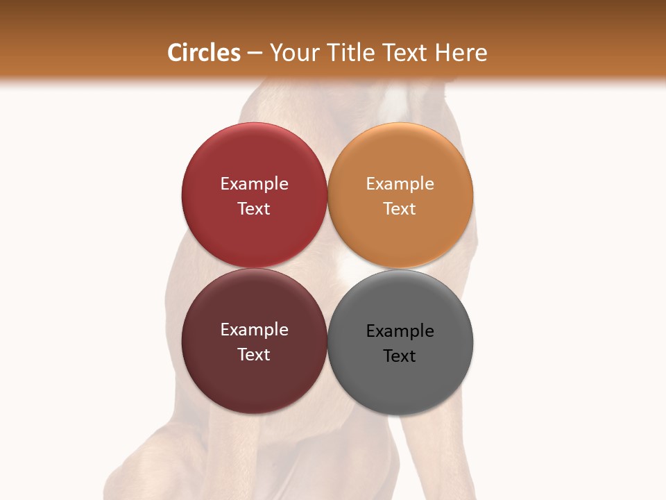 Bitch Cute Funny PowerPoint Template